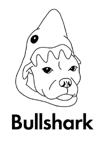 Bullshark 